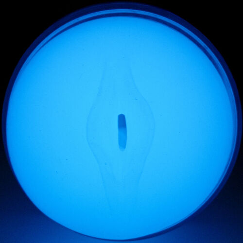 Kiiroo - Feel Glow In The Dark Stroker