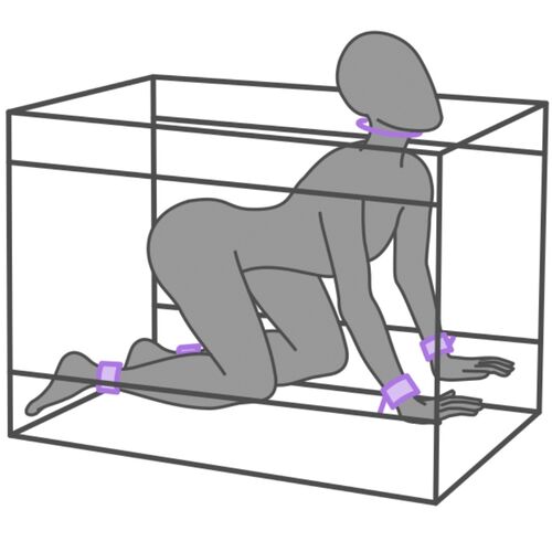 Secret Dome - Kink Club La Niche Cabin Purple