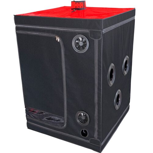 Secret Dome - Kink Club Cabin Scandale Black & Red