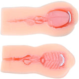 Xise - Suctroker V2.0 I Munmasturbator Med Vibration