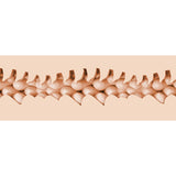 Fleshlight Fantasy - Evie Akashiya Vagina