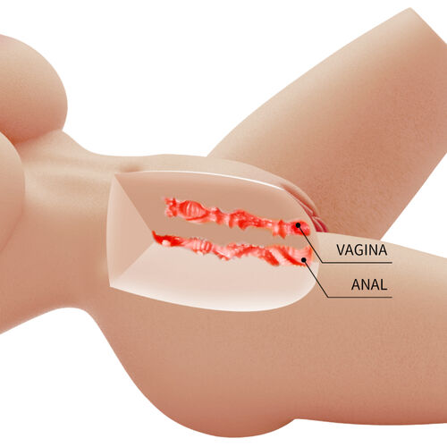 Crazy Bull - Lily Kvinnlig Masurbatör Realistisk Torso, Vagina Och Anal, 4 Kg